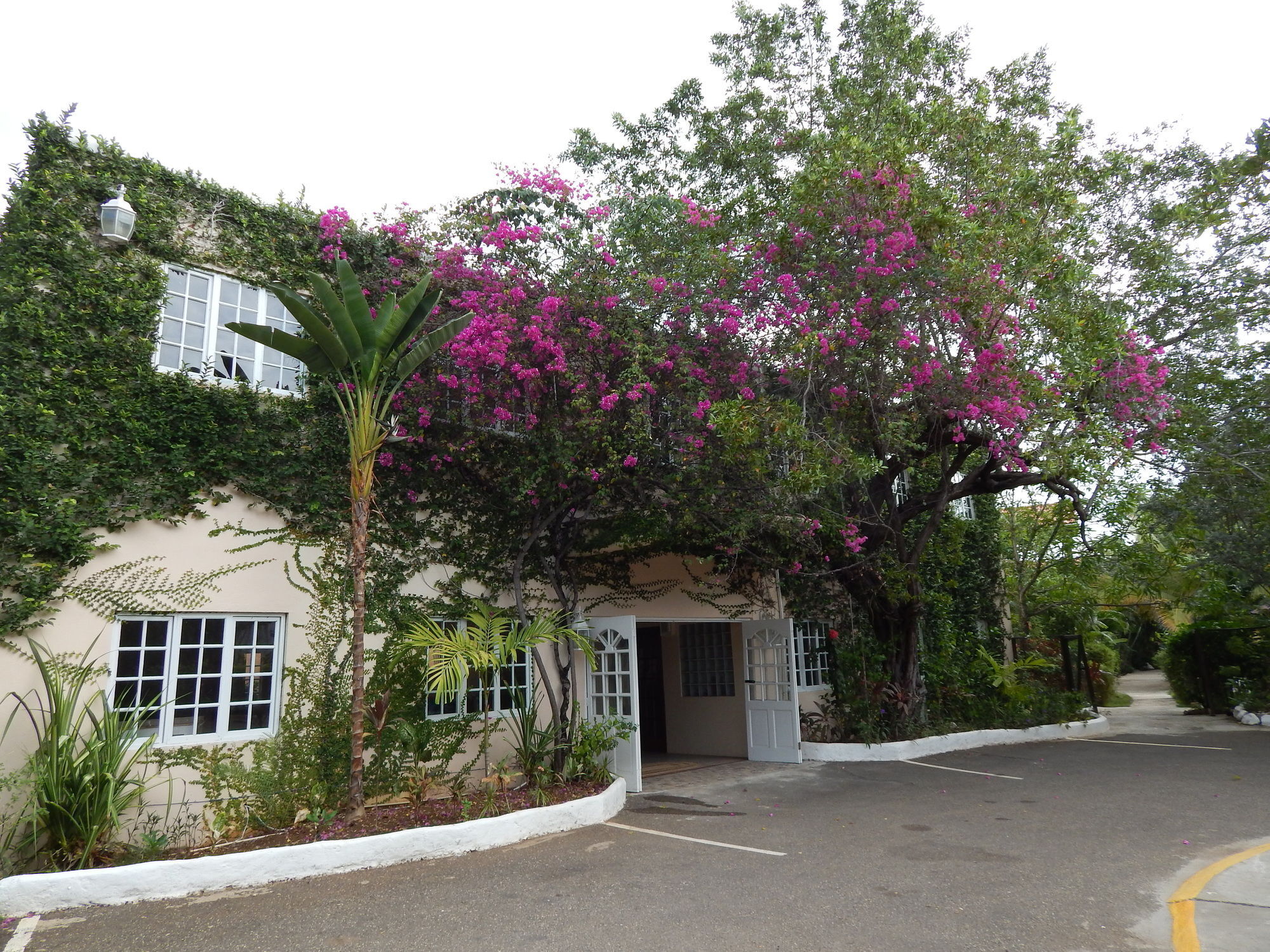 Mangos Jamaica Adults Only Hotell Falmouth Exteriör bild